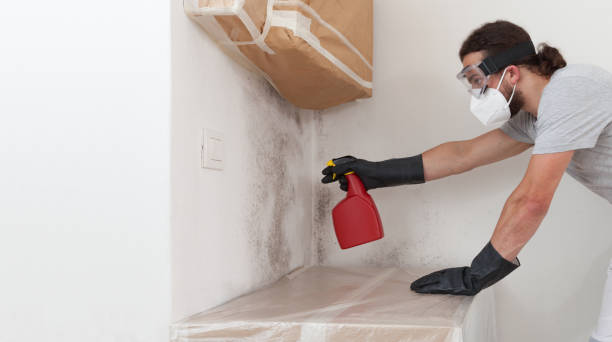 Professional Bathroom Mold Removal technician working in Charlestown, MD