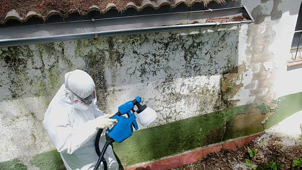 Top rated local Bathroom Mold Removal specialists in Charlestown, MD